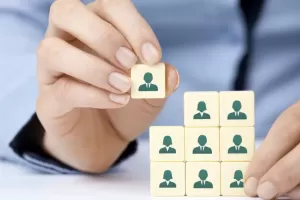 Dịch thuật công chức nhiều loại hồ sơ ở đa dạng lĩnh vực.